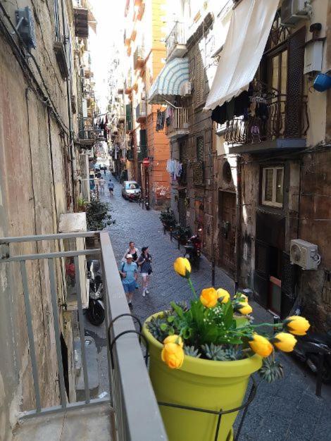 Ferienwohnung La Conchiglia Napoli Exterior foto